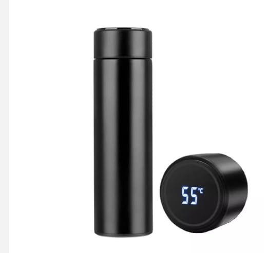 LED Temperature Display Water Bottle