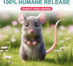 Rat Trap Cage