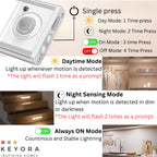 Cabinet Lights (20 cm)