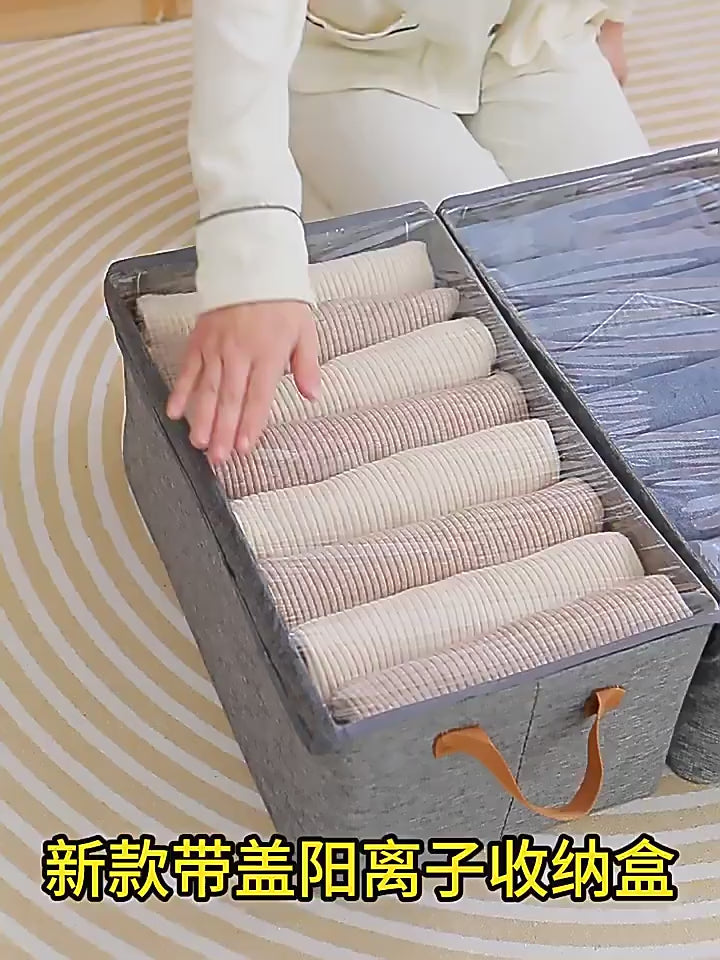 26 L Organizer For Clothes With Lid