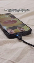 Auto Stop Charge Smart Charger