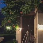 Solar motion Wall Bulb