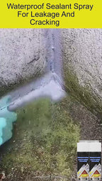 Waterproof Leack filler Sprey